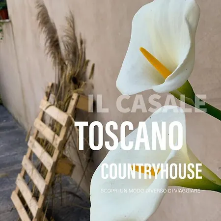- Il Casale Toscano - 1900mt From The Tower Of & Trains Station - Free Parking - No Breakfast - No Air Conditioning But Fan - Only Self Check-in Access From 3 Pm Pisa