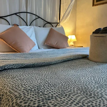 - Il Casale Toscano - 1900mt From The Tower Of & Trains Station - Free Parking - No Breakfast - No Air Conditioning But Fan - Only Self Check-in Access From 3 Pm カントリーハウス